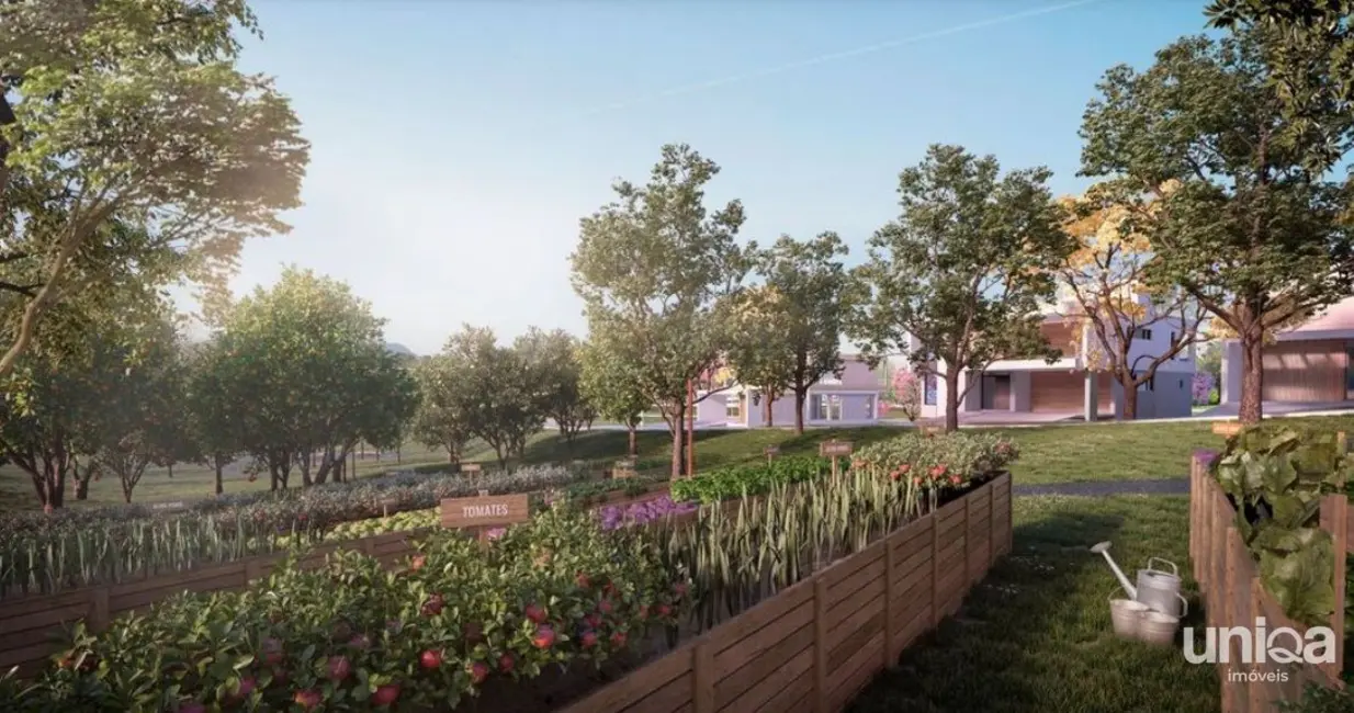 Foto 4 de Terreno / Lote à venda, 338m2 em Tomazetti, Santa Maria - RS