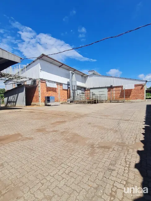 Foto 9 de Armazém / Galpão com 6 quartos para alugar, 6000m2 em Camobi, Santa Maria - RS