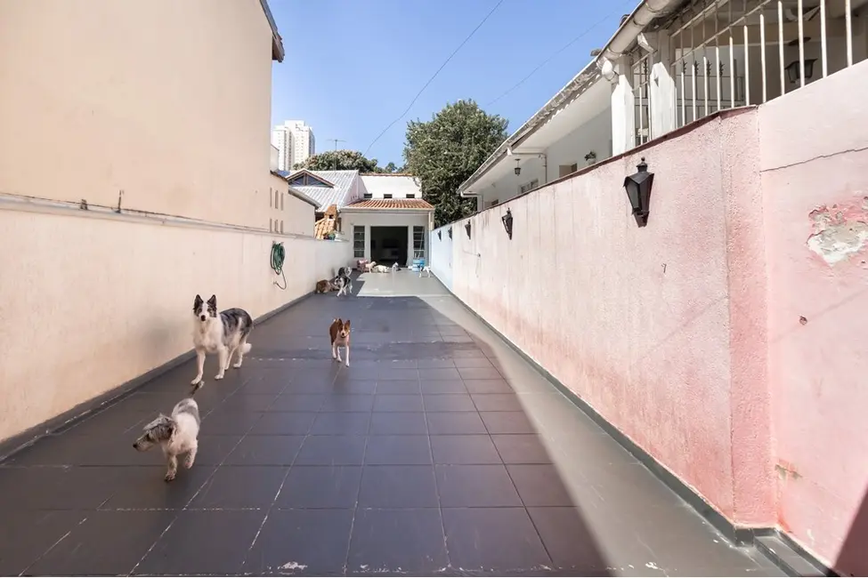 Casa com 2 quartos à venda, 224m2 em Campo Belo, São Paulo - SP - imagem 3 Foto 3 de Casa com 2 quartos à venda, 224m2 em Campo Belo, São Paulo - SP
