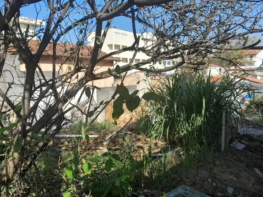 Terreno / Lote à venda em Vila Portuguesa, São Paulo - SP - imagem 8 Foto 8 de Terreno / Lote à venda em Vila Portuguesa, São Paulo - SP