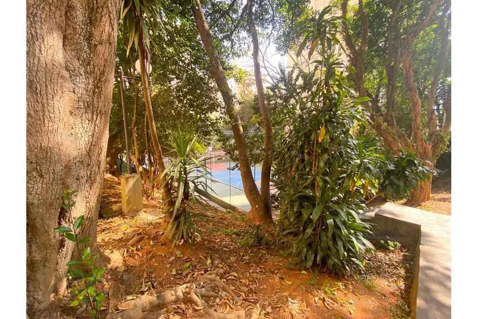 Foto 6 de Apartamento com 3 quartos à venda, 61m2 em Vila das Mercês, São Paulo - SP