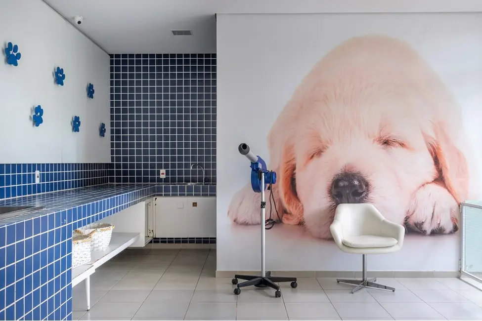 Apartamento com 3 quartos à venda, 91m2 em Butantã, São Paulo - SP - imagem 5 Foto 5 de Apartamento com 3 quartos à venda, 91m2 em Butantã, São Paulo - SP