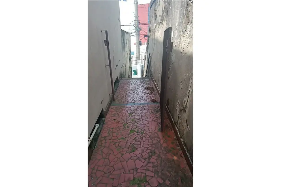 Foto 3 de Casa com 4 quartos à venda, 300m2 em Casa Verde, São Paulo - SP