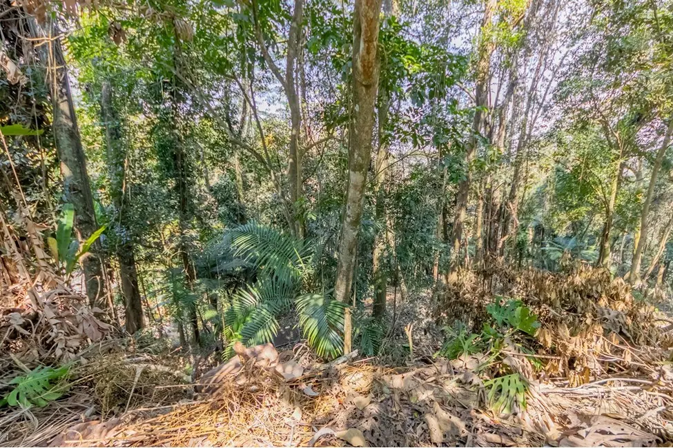 Foto 5 de Terreno / Lote à venda em Condomínio Iolanda, Taboao Da Serra - SP