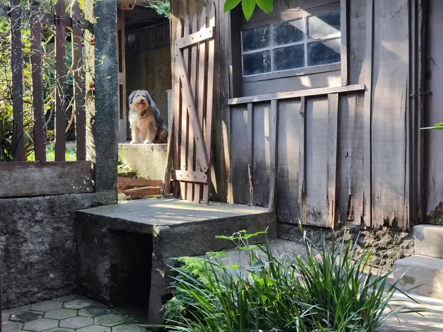 Foto 7 de Terreno / Lote à venda em Tucuruvi, São Paulo - SP