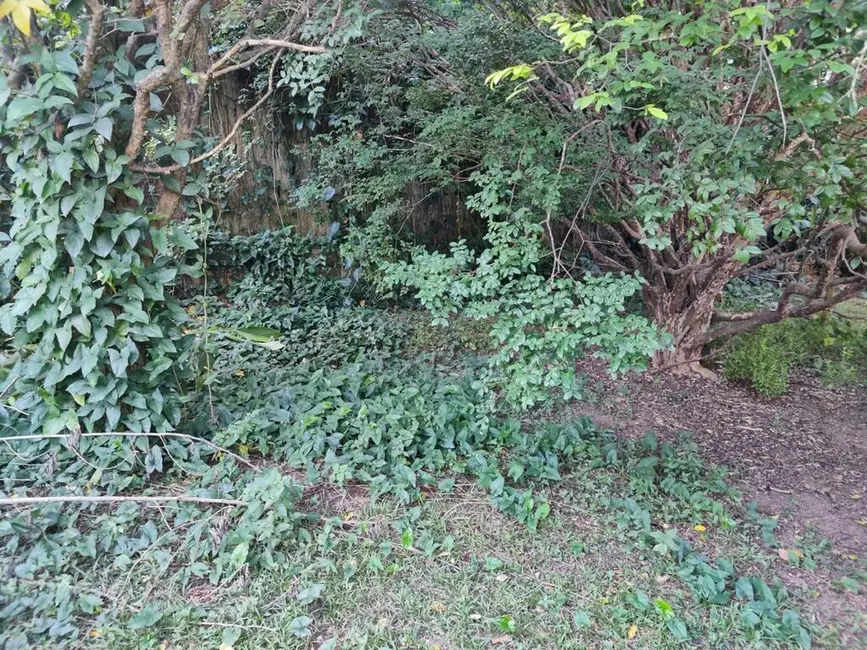 Foto 6 de Terreno / Lote à venda em Tucuruvi, São Paulo - SP