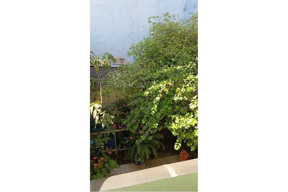 Foto 6 de Casa com 3 quartos à venda, 125m2 em Vila Cardoso Franco, São Paulo - SP