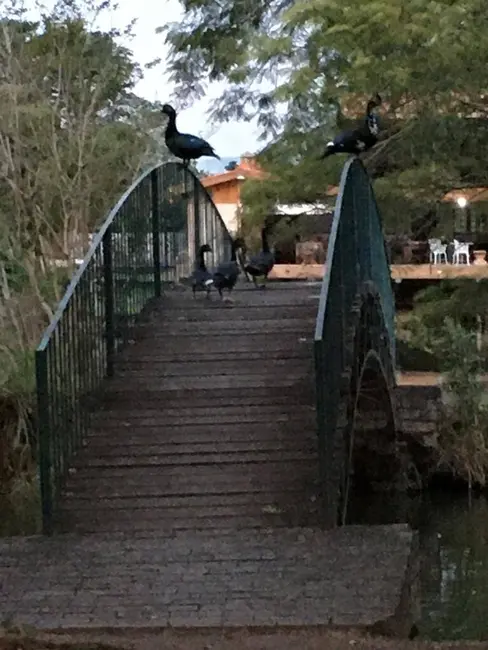Foto 8 de Sobrado com 4 quartos à venda, 20000m2 em Chácaras Maringá, Atibaia - SP