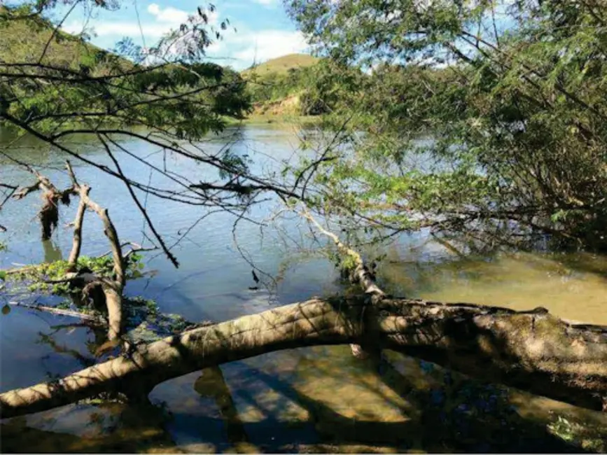 Foto 4 de Terreno / Lote à venda, 9860m2 em Santa Branca - SP