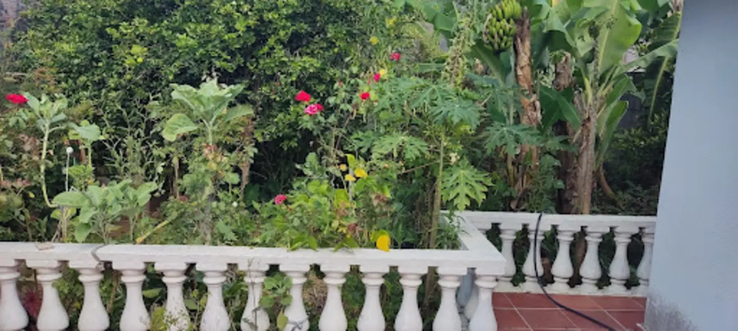 Foto 3 de Casa com 3 quartos à venda, 300m2 em Parque Santo Antônio, Jacarei - SP