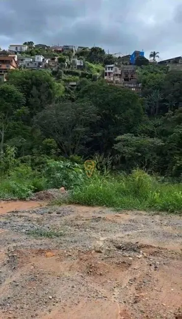 Foto 4 de Terreno / Lote à venda, 200m2 em Santa Branca - SP