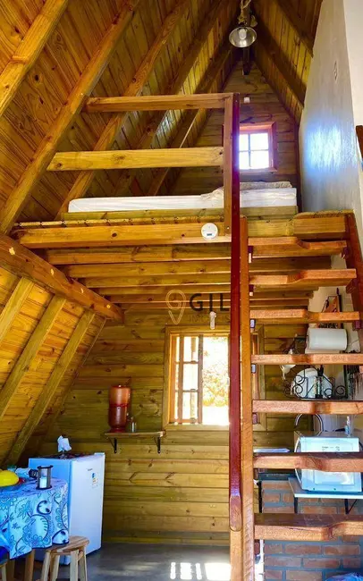 Foto 2 de Chácara com 2 quartos à venda, 3000m2 em Delfim Moreira - MG