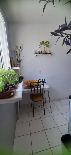 Foto 3 de Apartamento com 2 quartos à venda, 48m2 em Jardim Primavera, Jacarei - SP