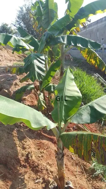 Foto 3 de Terreno / Lote à venda, 1534m2 em Veraneio Irajá, Jacarei - SP