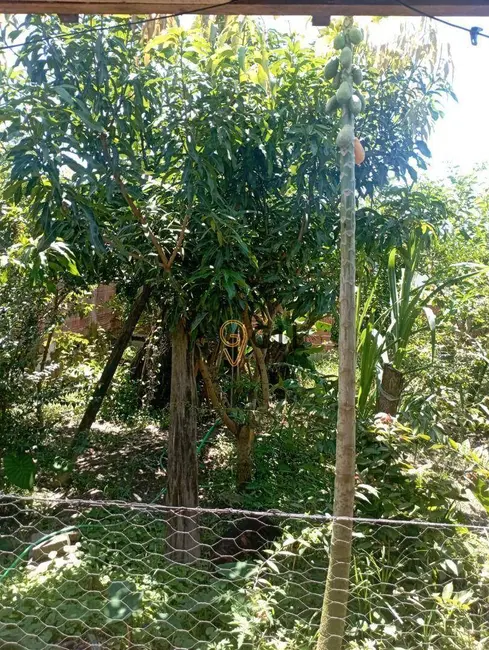 Foto 5 de Casa com 2 quartos à venda, 300m2 em Pegorelli, Caraguatatuba - SP