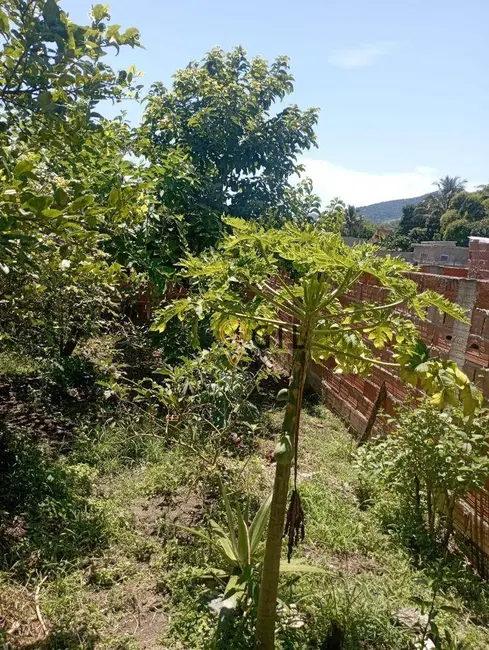Foto 6 de Casa com 2 quartos à venda, 300m2 em Pegorelli, Caraguatatuba - SP