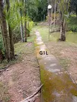 Imagem 6