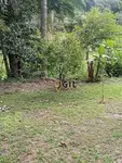 Imagem 12