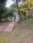 Imagem 8