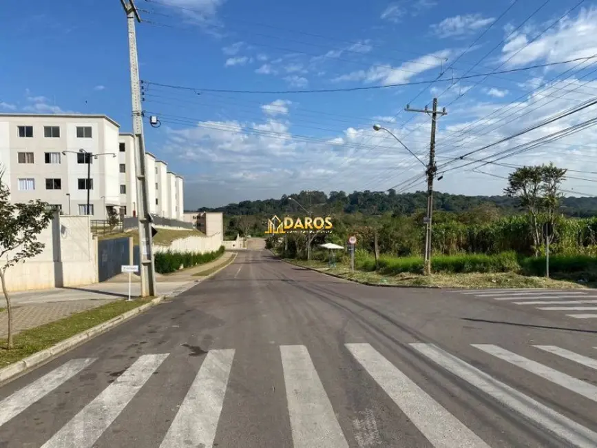 Apartamento com 2 quartos à venda, 38m2 em Colônia Rio Grande, Sao Jose Dos Pinhais - PR - imagem 7 Foto 7 de Apartamento com 2 quartos à venda, 38m2 em Colônia Rio Grande, Sao Jose Dos Pinhais - PR
