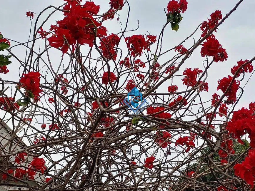Foto 3 de Casa com 4 quartos à venda, 396m2 em Jardim São Caetano, Sao Caetano Do Sul - SP