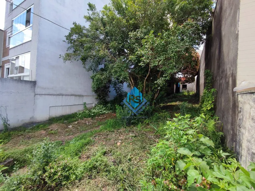 Foto 5 de Terreno / Lote à venda, 259m2 em Nova Petrópolis, Sao Bernardo Do Campo - SP