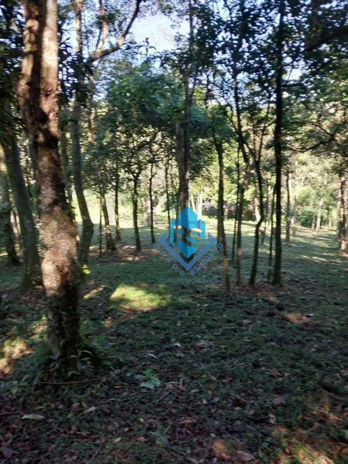 Foto 8 de Terreno / Lote à venda, 1399m2 em Dos Finco, Sao Bernardo Do Campo - SP