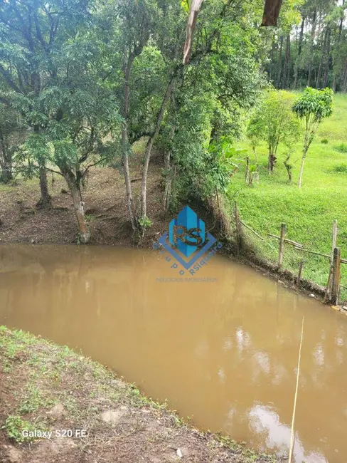 Foto 5 de Chácara com 2 quartos à venda, 4000m2 em Tatetos, Sao Bernardo Do Campo - SP