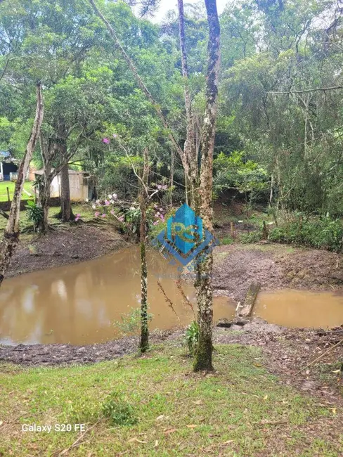 Foto 4 de Chácara com 2 quartos à venda, 4000m2 em Tatetos, Sao Bernardo Do Campo - SP