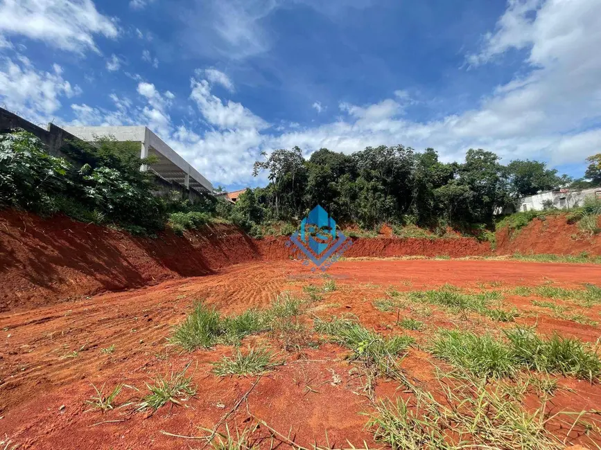 Terreno / Lote à venda e para alugar, 44000m2 em Palmeiras de São Paulo, Suzano - SP - imagem 9 Foto 9 de Terreno / Lote à venda e para alugar, 44000m2 em Palmeiras de São Paulo, Suzano - SP