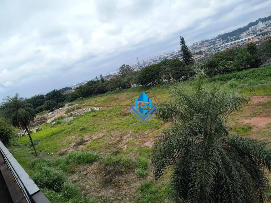 Terreno / Lote para alugar, 20000m2 em Piraporinha, Diadema - SP - imagem 6 Foto 6 de Terreno / Lote para alugar, 20000m2 em Piraporinha, Diadema - SP