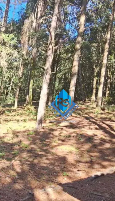 Foto 5 de Chácara com 3 quartos à venda, 54771m2 em Taquacetuba, Sao Bernardo Do Campo - SP