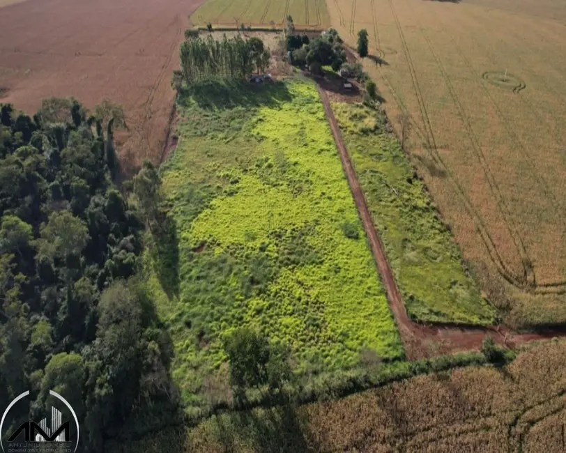 Foto 9 de Chácara com 2 quartos à venda, 780m2 em Dourados - MS