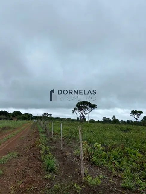 Foto 9 de Chácara com 2 quartos à venda, 20300m2 em Área Rural de Formosa, Formosa - GO