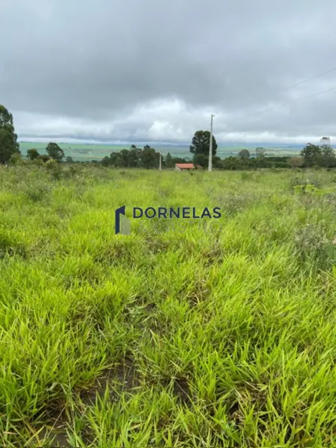 Foto 7 de Chácara com 2 quartos à venda, 20300m2 em Área Rural de Formosa, Formosa - GO