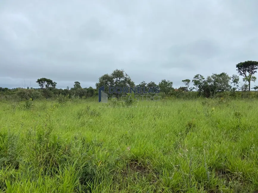 Foto 3 de Chácara com 2 quartos à venda, 20300m2 em Área Rural de Formosa, Formosa - GO
