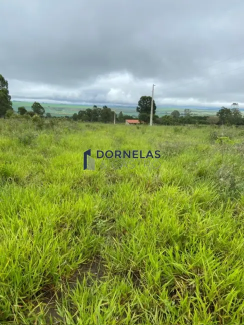 Foto 8 de Chácara com 2 quartos à venda, 20300m2 em Área Rural de Formosa, Formosa - GO