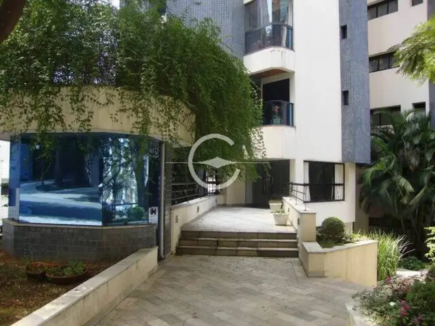 Apartamento com 4 quartos à venda, 428m2 em Jardim Vitória Régia, São Paulo - SP - imagem 7 Foto 7 de Apartamento com 4 quartos à venda, 428m2 em Jardim Vitória Régia, São Paulo - SP