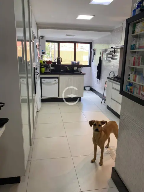 Apartamento com 4 quartos à venda, 147m2 em Moema, São Paulo - SP - imagem 5 Foto 5 de Apartamento com 4 quartos à venda, 147m2 em Moema, São Paulo - SP