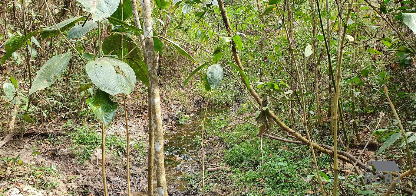 Terreno / Lote à venda em Esmeraldas - MG - imagem 14 Foto 14 de Terreno / Lote à venda em Esmeraldas - MG