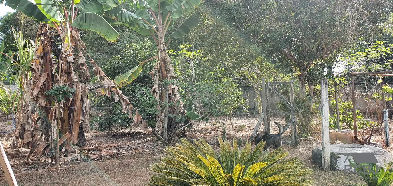 Sítio / Rancho com 3 quartos à venda, 150m2 em Tropeiros, Esmeraldas - MG - imagem 8 Foto 8 de Sítio / Rancho com 3 quartos à venda, 150m2 em Tropeiros, Esmeraldas - MG