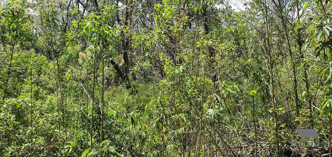 Foto 9 de Terreno / Lote à venda, 10000m2 em Esmeraldas - MG