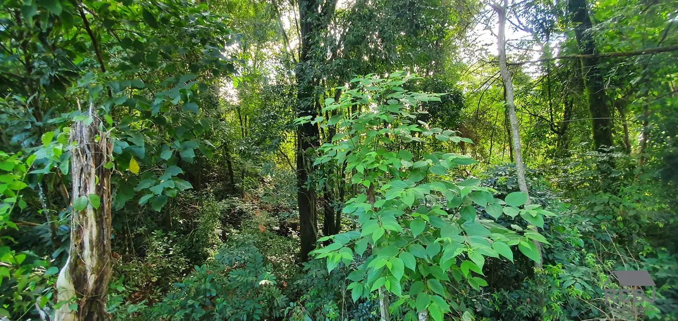 Terreno / Lote à venda, 1000m2 em Brumadinho - MG - imagem 5 Foto 5 de Terreno / Lote à venda, 1000m2 em Brumadinho - MG