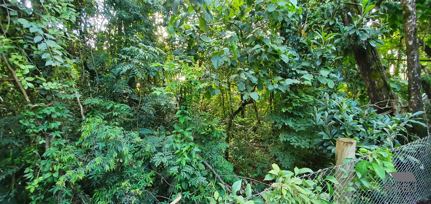 Terreno / Lote à venda, 1000m2 em Brumadinho - MG - imagem 4 Foto 4 de Terreno / Lote à venda, 1000m2 em Brumadinho - MG