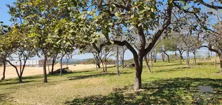 Imagem 13