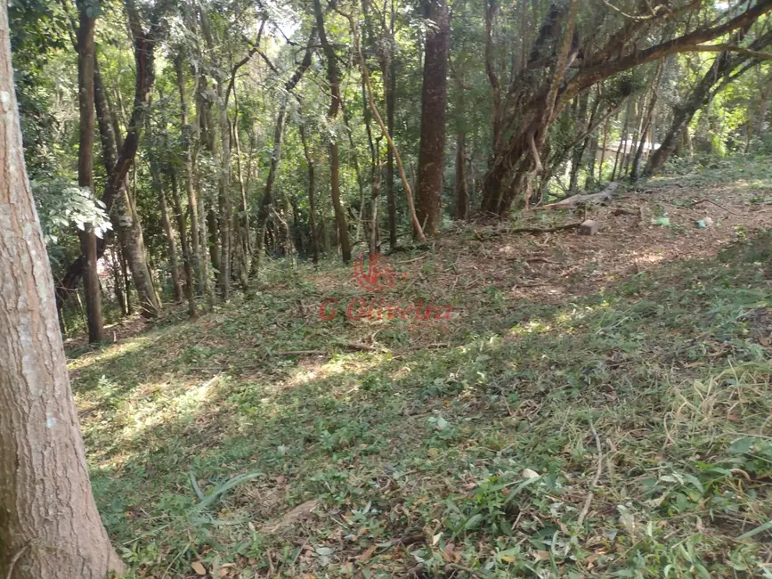 Foto 4 de Terreno / Lote à venda, 1000m2 em Roseira, Jundiai - SP