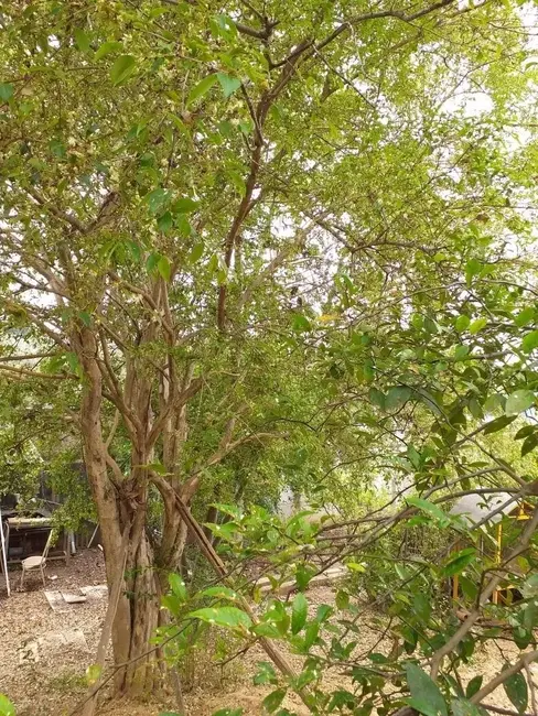 Foto 4 de Terreno / Lote à venda, 250m2 em Vila Esperança, Jundiai - SP