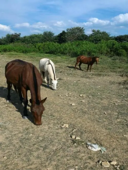 Terreno / Lote à venda, 30556m2 em Distrito Industrial, Jundiai - SP - imagem 4 Foto 4 de Terreno / Lote à venda, 30556m2 em Distrito Industrial, Jundiai - SP
