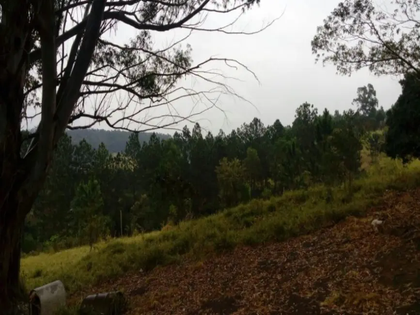 Foto 5 de Terreno / Lote à venda, 22855m2 em Jundiaí Mirim, Jundiai - SP