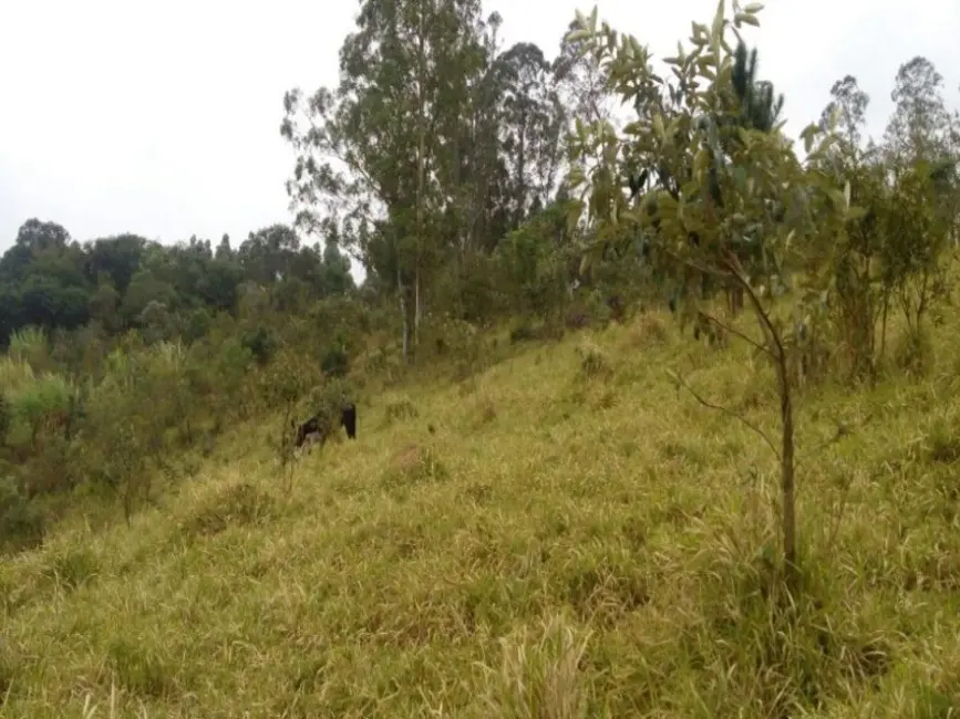 Foto 8 de Terreno / Lote à venda, 22855m2 em Jundiaí Mirim, Jundiai - SP